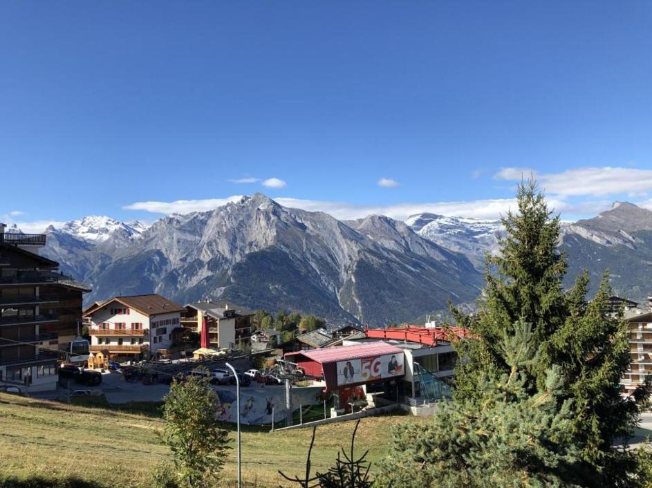 Studio Hauts-De-Nendaz G2 Ski In-Out Zewnętrze zdjęcie